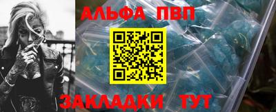 jwh Кингисепп