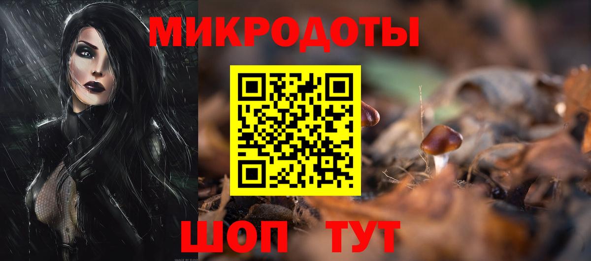 Луга  Галлюциногенные грибы ЛСД  Вход с VPN 